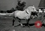 Image of horses United States USA, 1945, second 12 stock footage video 65675037434