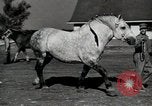 Image of horses United States USA, 1945, second 13 stock footage video 65675037434