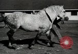 Image of horses United States USA, 1945, second 15 stock footage video 65675037434