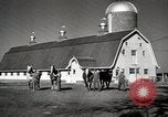 Image of horses United States USA, 1945, second 19 stock footage video 65675037434