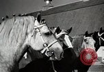 Image of horses United States USA, 1945, second 21 stock footage video 65675037434