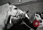 Image of horses United States USA, 1945, second 22 stock footage video 65675037434