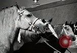 Image of horses United States USA, 1945, second 23 stock footage video 65675037434