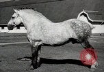 Image of horses United States USA, 1945, second 25 stock footage video 65675037434