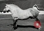 Image of horses United States USA, 1945, second 26 stock footage video 65675037434