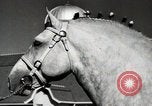 Image of horses United States USA, 1945, second 28 stock footage video 65675037434