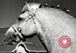 Image of horses United States USA, 1945, second 29 stock footage video 65675037434