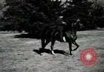 Image of horses United States USA, 1945, second 47 stock footage video 65675037434