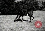 Image of horses United States USA, 1945, second 53 stock footage video 65675037434