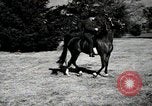 Image of horses United States USA, 1945, second 54 stock footage video 65675037434