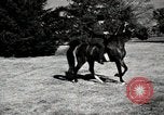 Image of horses United States USA, 1945, second 55 stock footage video 65675037434