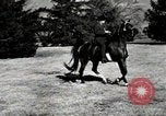 Image of horses United States USA, 1945, second 57 stock footage video 65675037434