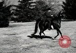 Image of horses United States USA, 1945, second 59 stock footage video 65675037434