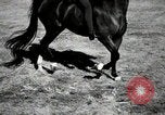 Image of horses United States USA, 1945, second 62 stock footage video 65675037434