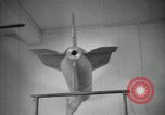 Standbild A-4Rakete Aachen Deutschland, 1938, aus Sekunde 45 historischem Filmmaterial Videoclip 65675037453