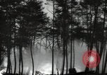 Standbild Deutsche V-2 Rakete gestartet in einem Wald Blizna Polen, 1944, aus Sekunde 4 historischem Filmmaterial Videoclip 65675037460