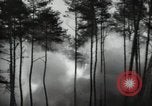 Standbild Deutsche V-2 Rakete gestartet in einem Wald Blizna Polen, 1944, aus Sekunde 5 historischem Filmmaterial Videoclip 65675037460