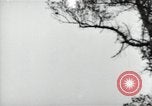 Standbild Deutsche V-2 Rakete gestartet in einem Wald Blizna Polen, 1944, aus Sekunde 10 historischem Filmmaterial Videoclip 65675037460