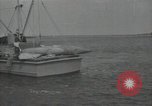 Standbild Deutscher Raketenstart der A-5 und -Bergung Greifswalder Oie Deutschland, 1940, aus Sekunde 60 historischem Filmmaterial Videoclip 65675037480