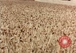 Image Pesticides United States USA, 1966, de la seconde 3 séquences d'archives historiques vidéo 65675037481