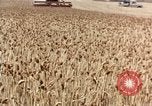 Image Pesticides United States USA, 1966, de la seconde 4 séquences d'archives historiques vidéo 65675037481