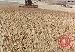 Image Pesticides United States USA, 1966, de la seconde 5 séquences d'archives historiques vidéo 65675037481