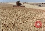 Image Pesticides United States USA, 1966, de la seconde 6 séquences d'archives historiques vidéo 65675037481