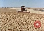 Image Pesticides United States USA, 1966, de la seconde 9 séquences d'archives historiques vidéo 65675037481