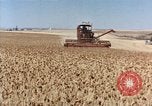 Image Pesticides United States USA, 1966, de la seconde 12 séquences d'archives historiques vidéo 65675037481