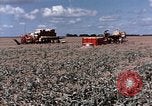 Image Pesticides United States USA, 1966, de la seconde 23 séquences d'archives historiques vidéo 65675037481