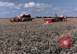 Image Pesticides United States USA, 1966, de la seconde 24 séquences d'archives historiques vidéo 65675037481