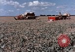 Image Pesticides United States USA, 1966, de la seconde 25 séquences d'archives historiques vidéo 65675037481