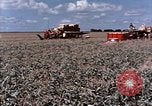Image Pesticides United States USA, 1966, de la seconde 26 séquences d'archives historiques vidéo 65675037481