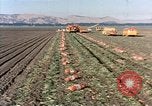 Image Pesticides United States USA, 1966, de la seconde 38 séquences d'archives historiques vidéo 65675037481