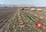 Image Pesticides United States USA, 1966, de la seconde 39 séquences d'archives historiques vidéo 65675037481