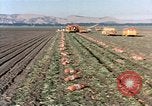 Image Pesticides United States USA, 1966, de la seconde 40 séquences d'archives historiques vidéo 65675037481