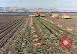 Image Pesticides United States USA, 1966, de la seconde 41 séquences d'archives historiques vidéo 65675037481