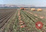 Image Pesticides United States USA, 1966, de la seconde 42 séquences d'archives historiques vidéo 65675037481