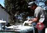 Image of pesticides United States USA, 1966, second 13 stock footage video 65675037483