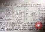 Image of pesticides United States USA, 1966, second 20 stock footage video 65675037483