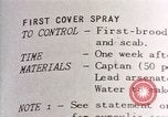 Image of pesticides United States USA, 1966, second 29 stock footage video 65675037483