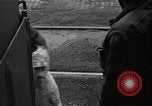 Image of Victory over Japan day United States USA, 1945, second 17 stock footage video 65675037485