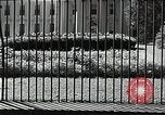 Image of White House building Washington DC USA, 1940, second 46 stock footage video 65675037509