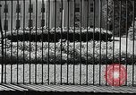 Image of White House building Washington DC USA, 1940, second 47 stock footage video 65675037509