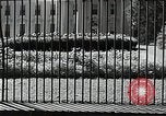 Image of White House building Washington DC USA, 1940, second 48 stock footage video 65675037509