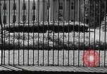 Image of White House building Washington DC USA, 1940, second 49 stock footage video 65675037509