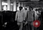 Standbild Kaiser Haile Selassie I Bombay Indien, 1952, aus Sekunde 17 historischem Filmmaterial Videoclip 65675037525