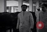 Standbild Kaiser Haile Selassie I Bombay Indien, 1952, aus Sekunde 20 historischem Filmmaterial Videoclip 65675037525