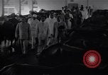 Standbild Kaiser Haile Selassie I Bombay Indien, 1952, aus Sekunde 28 historischem Filmmaterial Videoclip 65675037525