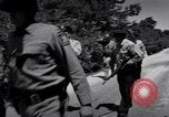 Image of Police manhunt on Long Island Babylon New York USA, 1956, second 33 stock footage video 65675037533